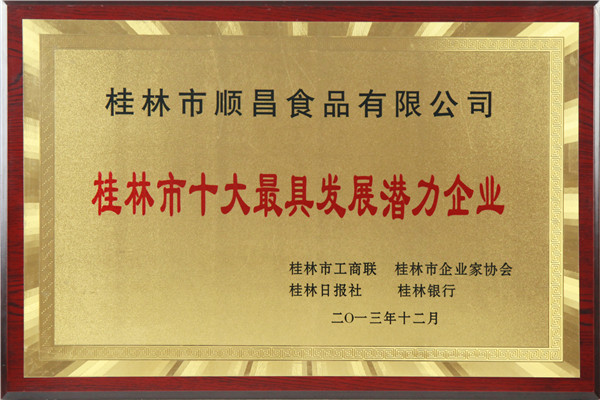 十大最具發展潛力企業獎牌
